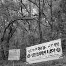 살구쟁이들 네이버블로그