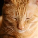 커피마녀 이미지