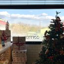 남사-10 | 용인 남사 도넛 카페 도너티 포장 살짝 아쉬운 후기