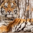 예화주막 이미지