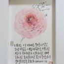 예랑캘리