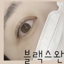 블랙스완래쉬 이미지