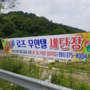 로즈 무인텔 이미지
