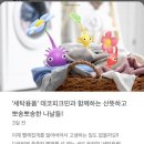 보라세탁소 이미지