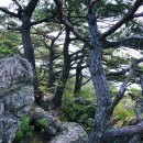 성불주차장 이미지