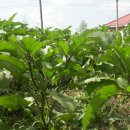 우정농장 이미지