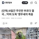 [단독] 8일간 주인만 부르다 결국…'커피 도둑' 앵무새의 죽음 이미지