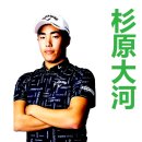 타이가 이미지