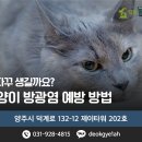 덕계 원 동물병원 이미지