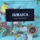 블루마운틴 스크린 이미지