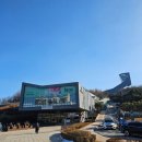 (초등자녀가족)우쿨렐레가족콘서트 | 사이언스매직쇼 원더매직 오리지널과학마술콘서트 초등학생 관람 후기