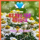 [수원] 통닭거리맛집 옛날통닭st 깔끔한 맛의 진미통닭 가게 정보 및 내돈내산 후기