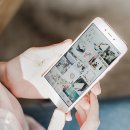 명문애견 이미지