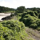 좌가연대 이미지