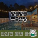사랑하는 반려견과 함께하는 특별한 경험, 멍글멍글펫글램핑