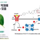 사천온누리약국 이미지