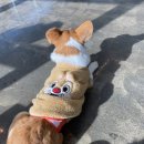 커멍커멍 이미지