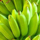 (주)바나나10 이미지