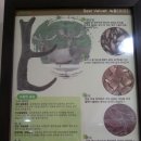 운남한의원 이미지