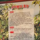 금수구지뽕삼계탕 이미지