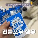 리틀포우 이미지