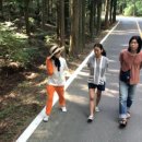 효리네 민박 이미지