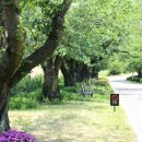 엑스포카센터 이미지