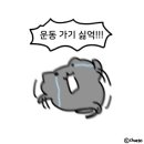 [백수로그 #02] 취준생 건강하기(ft. 한국산업인력공단 인턴 서류 합격)