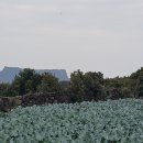 고성리-8 이미지