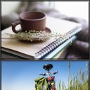 광덕안정한의원 인천작전점 | 한의원 방문 후기? 약 봉투 속 숨은 꿀팁 대방출! 한약 색깔별 효능 완전 정복!