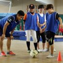 만나무궁화