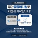 시드니동물병원 이미지