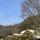 충북 제천 글램핑장 청풍월드니스글램핑 후기