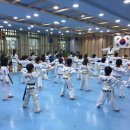 세종의 아침 태권도 이미지