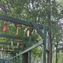 바람의정원 | 홋카이도 후라노 바람의 정원, 비 오는 날 만난 특별한 풍경