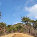 신안장의사 네이버블로그