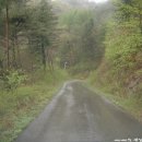 주천강강변자연휴양림 이미지