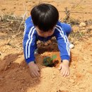 아띠숲 어린이집