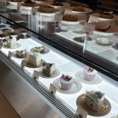 동남로 | 청주 동남로 카페 추천 | 투닷츠 로스터즈 크리스마스 트리 너무 예뻐서 놀람