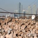 지니나라 이미지