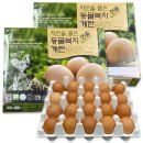 한스팜