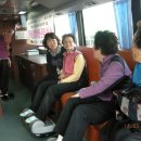 조전1리 이미지