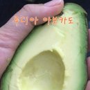 루디아유통 이미지