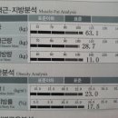 오늘다이어트