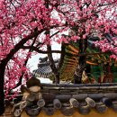 향기4로 이미지