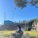 독앤트리 이미지