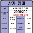 연제구-196 이미지