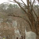 판타지아청량정 이미지