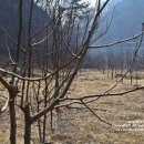 산자락영농조합법인 이미지