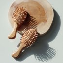 (주)한국쉬즈라인 이미지